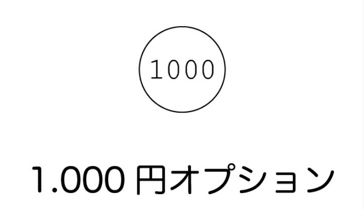 Rakuten - 1000円オプション