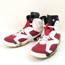 NIKE ナイキ AIR JORDAN 6 RETRO CDP CARMINE ミックス 29cm【中古】