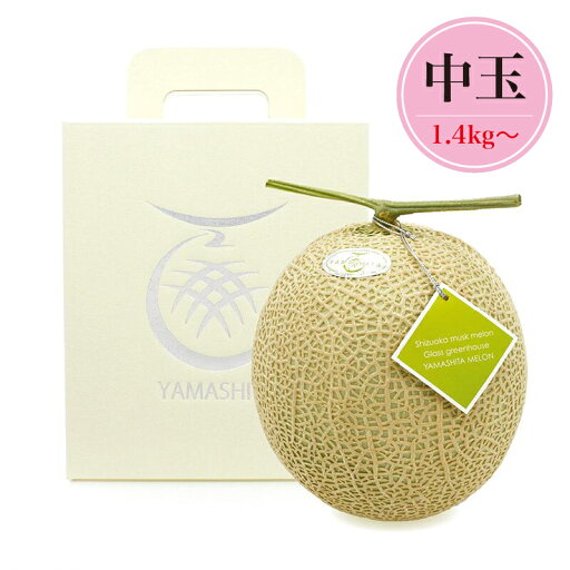 山下メロン園 高級マスクメロン 【中玉(1.4kg~)】1玉 特Aランク メロン 高級 温室マスクメロン 静岡県産 誕生日 お歳暮 贈答品 プレゼント ギフト 糖度14度以上 山下メロン園 高級マスクメロン 【中玉(1.4kg~)】1玉 特Aランク メロン 高級 温室マスクメロン 静岡県産 誕生日 お歳暮 贈答品 プレゼント ギフト 糖度14度以上