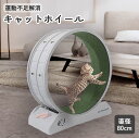 運動不足解消 キャットホイール 直径80cm ルームランナー 猫 静音 ストレス発散 運動不足 健康 ダイエット お留守番 肥満 ABS樹脂 耐久性 ホイール ...
