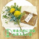 光触媒 フェイクグリーン クラシカルブーケ・半永久的に消臭効果♪ フェイクグリーン 空気清浄 お洒落 玄関 居間 リビング 観葉植物 観葉樹 アーティフィシャル...