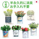 光触媒 インテリアグリーン TIN缶・半永久的に消臭する 観葉植物 人工観葉植物 ミニ アメリカン レトロ 抗菌・防汚・浄化 空気清浄 フェイクグリーン おしゃ...