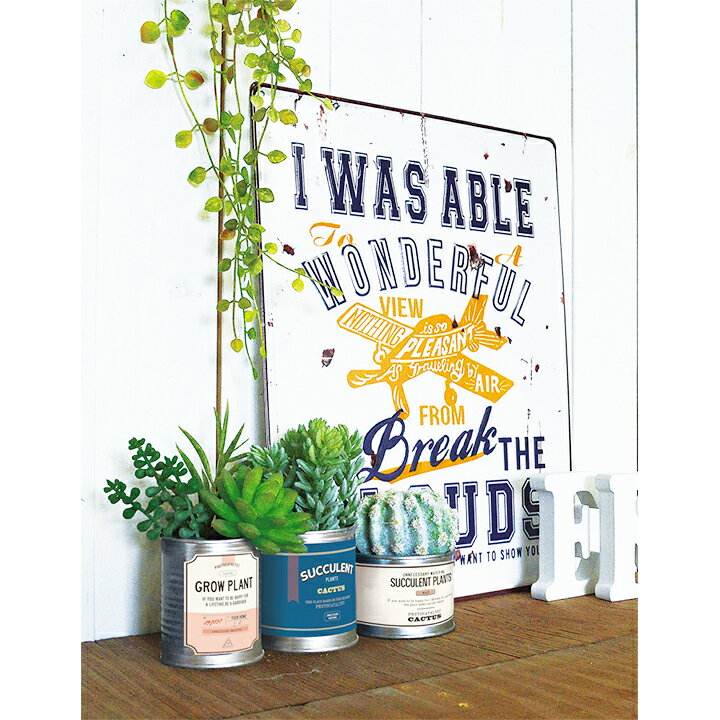 ������ ����ƥꥢ���꡼�� TIN�̡�Ⱦ�ʵ�Ū�˾ý����� ���տ�ʪ �͹����տ�ʪ �ߥ� ����ꥫ�� ��ȥ� ���ݡ��ɱ������� �������� �ե��������꡼�� ������� �ȥ��� ���� ���̽� �� ��� ǭ ���� �Ϥ�ʤ� ��� �ǥ��� ����ѥ��� ���ܥƥ� �İ��� ������