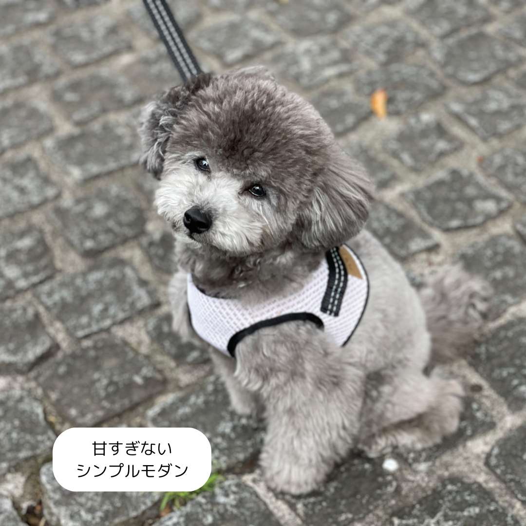 犬 ハーネス BBR FUWAハーネス クリーム/ライトグレー/ピンク/チャコールグレー/ラ...