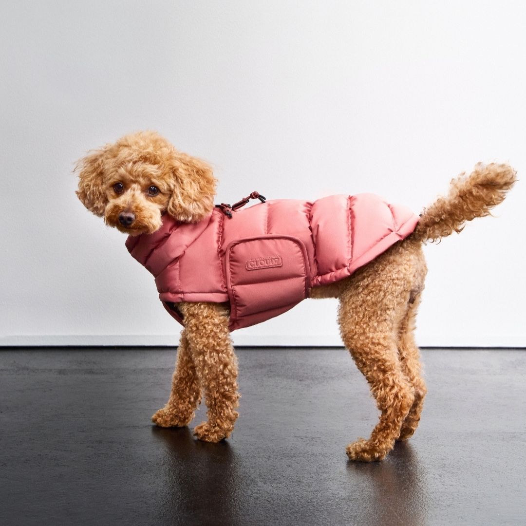 Cloud7 ���饹�� �ɴ������� 2025ǯ���� ALASKA XXS����XL�ޤ� ��������̵�� ���饦�ɥ��֥� �֥饦��١����� ���꡼�� ������ �������� ����� �ȥ��ס� �� �̲� �ɴ� �Ȥ��� ���� ������� ���ʼ� ������ �淿�� �緿�� �����֥��� µ�ʤ� �ϥ��ͥå� ��ե��