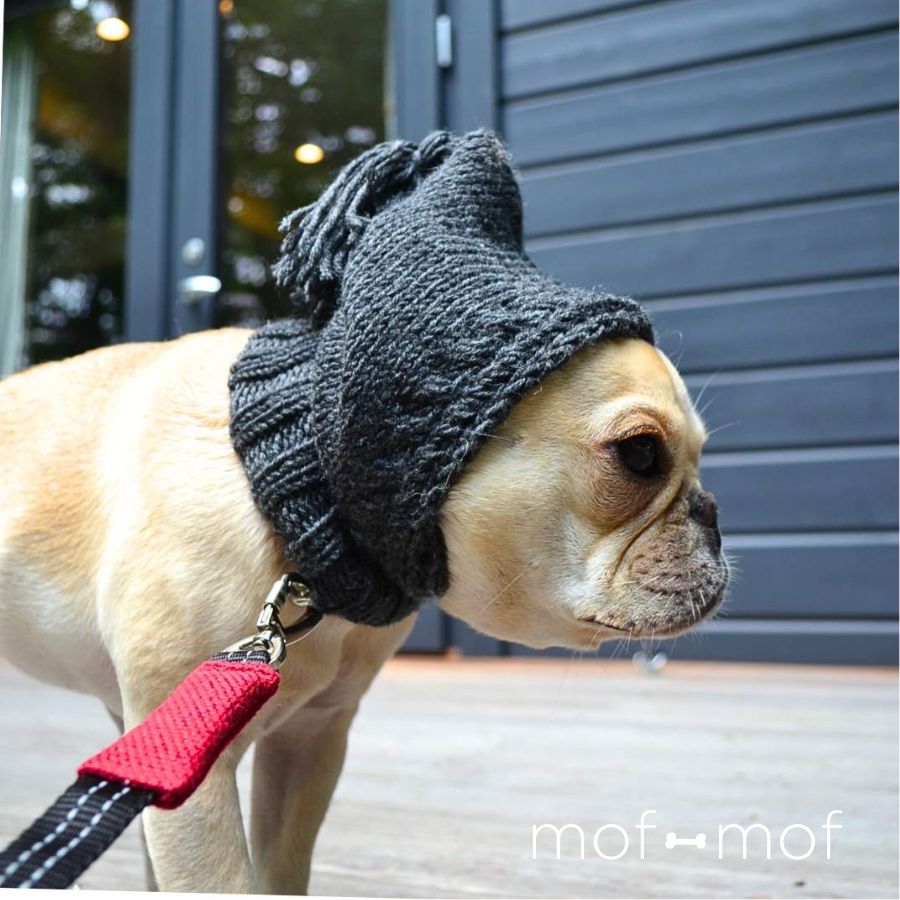 [Cloud7]スヌード ストーングレー イタリア製プレミアムウールを使用したシックなぽんぽん帽子 -毛糸は世界的なニットデザインハウスの「Lana Grossa」から -手触りはふわふわで暖かいイタリア製メリノウール100%使用 -首元は冷気を防ぐ2重構造（下側を内側に折って使用） -顔周りはよりフィットするように編んでいます -寄生虫を防ぐため、子羊の臀部の皮膚を切り取る残酷な「ミュールジング」をしない毛糸のみ使用 -元々は自分で編む商品でしたが、編んだものが欲しい！というお声にお応えして、完成品を販売します（なくなり次第終了） -かなりストレッチします -お揃いのスヌードもあります -モデルのトイプードルは4.5kg 首28cmで、Sサイズ着用 -モデルのフレブルは5.5kg 首35cmで、Sサイズ着用 -モデルが使用しているのは[BBR] FUWAハーネスプレミアム(XS) とお揃いのリードです 【Cloud7】 Tommy Hilfigerのデザイナーとして活躍したPetra Jungebluthさんが立ち上げたベルリン発のブランド。インテリアになる上質なデザインと機能性を兼ねた犬大国ドイツのトップブランド。オーガニック、フェアトレード、サステイナブルにこだわり、保護犬活動にも力を入れています。 →そのほか【Cloud7】のアイテムはこちら サイズ Sサイズ 首周り 23 - 40 cm (実寸: 首周り 28 cm 縦 20 cm) Lサイズ 首周り 40 - 60 cm (実寸: 首周り 36 cm 縦 30 cm) 素 材 メリノウール 100% お手入れ 手洗いを推奨します