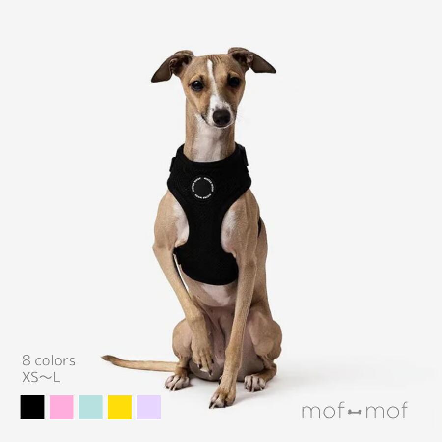  ϡͥ  ȴˤ ôʤ ̵ MR WOOFåϡͥ ԥ ֥롼 ֥å  ٥...