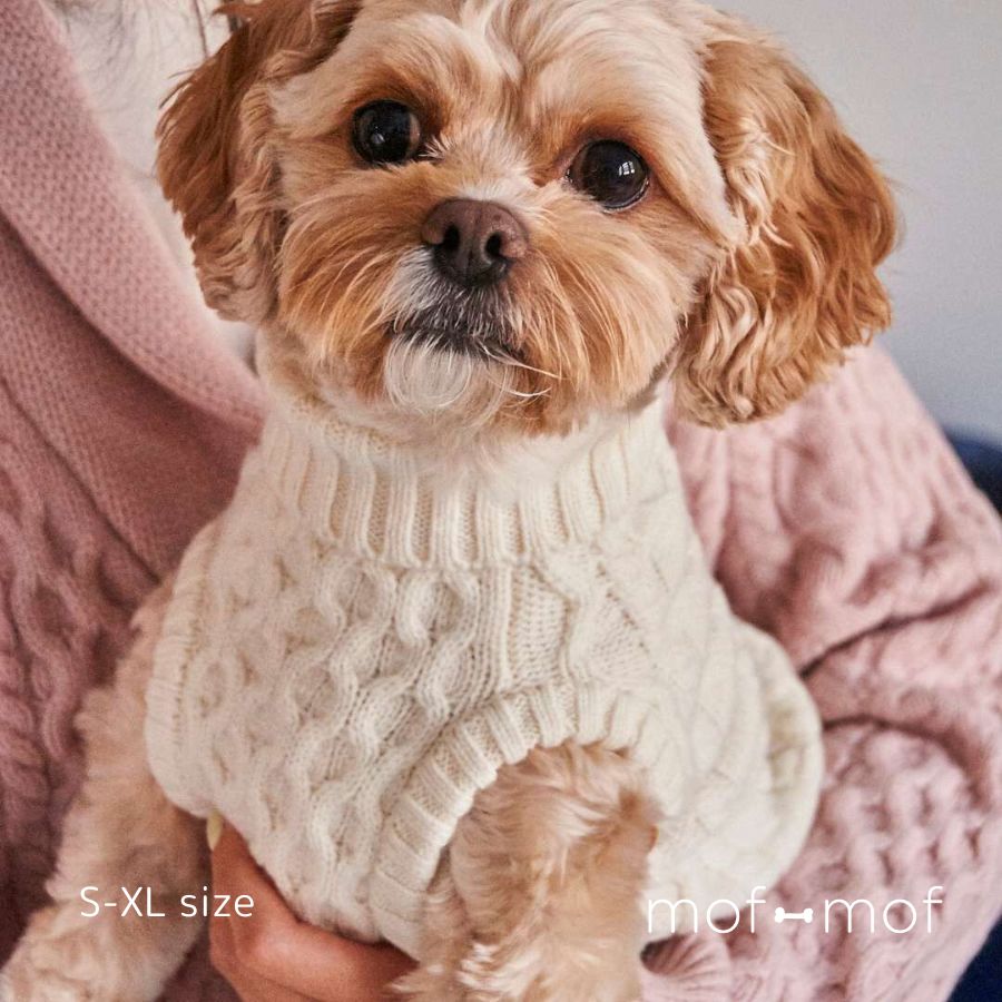 NOOEE PET サイズ交換無料 DEMYLLEコラボ ケーブルニット 犬服 ドッグウェア 白 セ