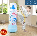 起き上がり パンチ サンドバッグ