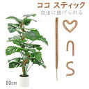 クーポンで1501円~★観葉植物 支柱 モンステラ支柱 ヘゴ 支柱 ココ スティック 曲げられる ココスティック モンステラ 支柱 園芸支柱 ココ 支柱 園芸支...