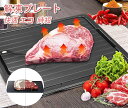 解凍プレート 業務用 急速解凍 プレート 解凍 皿 放熱 刺身 肉 冷凍食品 エコ 時短 家庭用 自然解凍 急速 解凍板 食品解凍 冷凍食品対応 お祝いギフト 母の日 省エネ 電気不要 冷凍肉 魚 梅雨 冷凍保存 食材の熱冷まし 省スペース 収納便利 送料無料