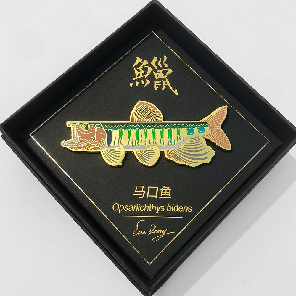 鮃(ヒラメ)ピンバッジ