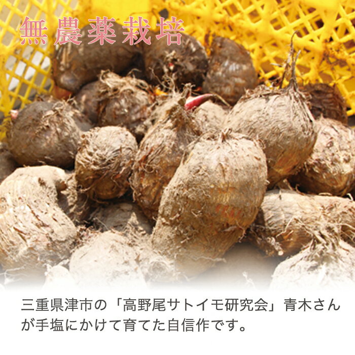 ぬめりが少なくホクホクした食感が特徴です 高野尾サトイモ研究会さんの里芋ペースト4パックセット セレベス 大人も着やすいシンプルファッション