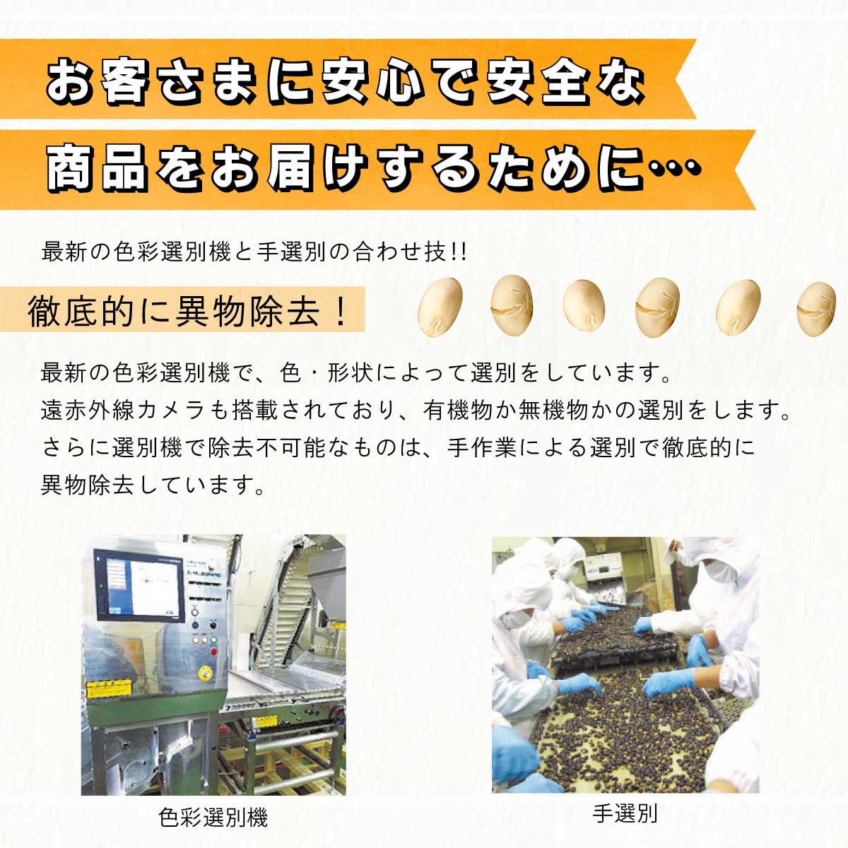 国産で安心安全 植物性たんぱく質を補給しましょう 今季も再入荷 送料込み1 000円ポッキリでお届けします 魅惑の国産煎り大豆 600g 0g 3袋 国産 北海道産 無添加 煎り 炒り 大豆イソフラボン いり モグーグ 節分 豆まき 1000円ポッキリ 工場直販 ゆうパケット メール便