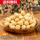 魅惑のマカダミアナッツ(塩付き)(255g×1袋) オーストラリア産 マカダミア ナッツ 木の実 塩付き ロカボ ゆうパケット 送料無料 アルミ袋 チャック 工場直販 モグーグ 不飽和脂肪酸 オレイン酸 パルミトレイン酸 抗酸化作用 美容 健康 おやつ おつまみ 