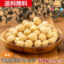 魅惑のマカダミアナッツ(塩付き)[510g](255g×2袋) オーストラリア産 マカダミア ナッツ 木の実 塩付き ロカボ ゆうパケット 送料無料 ..