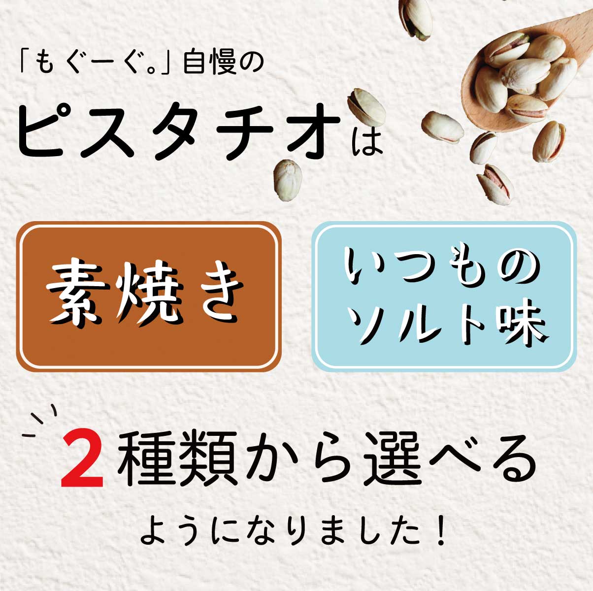 魅惑の選べるピスタチオ 240g (240g×1袋) カリフォルニア産 塩 いつものソルト味 素焼き 送料無料 ナッツ ナッツの女王 今流行りの ぴすたちお スイーツ 健康 美容 元気 濃厚 緑 豆 豆菓子 1000円ポッキリ 送料無料