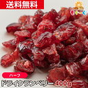 ラトビア産 クランベリー 500g(250g×2) 保存料不使用 ドライフルーツ 送料無料 保存に便利なチャック付き [ 甘酸っぱい フルーツ cranberry お試しサイズ 自然の館 保存食 非常食 訳あり