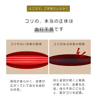 オーナー スポーツをする 厚くする 肩こり こり 玉 Turugaya Kibouen Jp オーナー スポーツをする 厚くする 肩こり こり 玉 Turugaya Kibouen Jp