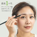 お買い物マラソン限定クーポンで1000円引き Todo 眉マニキュアセット(ヘアマニキュア + リムーバー + ブラシ + パレット + 型シート24種)