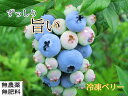 【抗酸化作用が高い】自然栽培・自然農法 冷凍ブルーベリー(2kg) 無農薬栽培 農薬不使用 動物性不使用 オーガニック