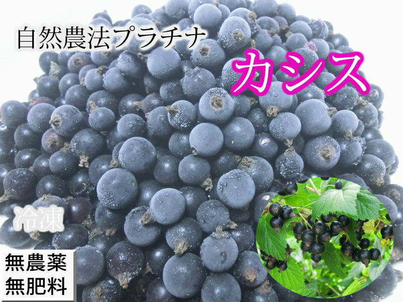自然栽培・自然農法　冷凍カシス(1kg)　無農薬栽培　農薬不使用　無施肥