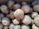 【自然農法・自然栽培】 完熟 ジャガイモ 約9kg 天然ミネラル使用 新ジャガ 無農薬栽培 オーガニック 動物性堆肥不使用