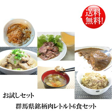 レトルト食品 おかず 惣菜 群馬県ブランド銘柄肉お試し6点セット 牛丼 豚丼 カレー 地鶏炭火焼き もつ煮 とん汁 常温保存