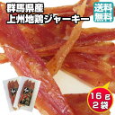 【期間限定10％OFFで1150円⇒1035円に★8日23:59まで】群馬県産 上州地鶏ジャーキー 16g 2個 送料無料 チキンジャーキー お試し 国産 常温 地鶏 グルメ食品 ご当地グルメ 群馬 土産 お取り寄せ …