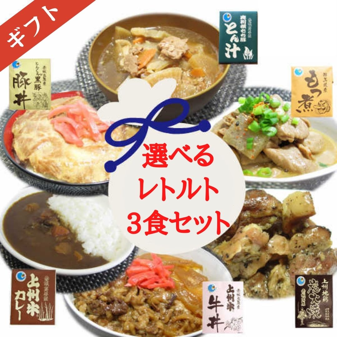 【まもなく終了!!店内全品11％OFF＆最大16％OFF★23:59迄】レトルト 詰め合わせ 群馬の選べるギフト3食セット 詰合せ レトルト食品 惣菜 高級 無添加 国産 国内製造 常温 牛丼 豚丼 とん汁 カレー もつ煮 炭火焼 選べる 群馬 ギフト 熨斗 御歳暮 御年賀 贈答品 人気