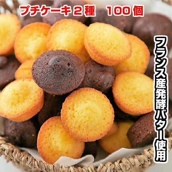 プチケーキ 焼き菓子 送料無料 フランス産発酵バター使用プチケーキ2種（プレーン味、チョコ味）100個 (50個×2セット) 訳あり 送料無料 発酵バター 大容量 業務用 2種類