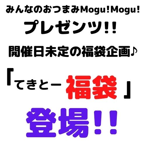 【5日限定!!無条件で使える全品10％OFF＆P10倍(条件あり)★23:59迄】福袋2024 お試し 訳あり おつまみ「てきとー福袋」在庫処分 数量限定 送料無料 珍味 おやつ ジャーキー チーズ 海鮮 肉 2