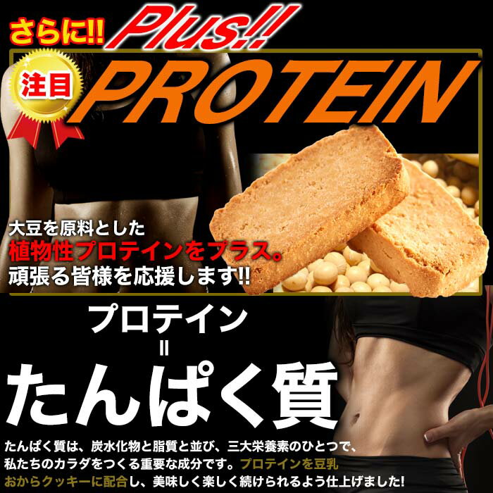 �����饯�å��� Ʀ��������ץ��ƥ��󥯥å���1kg Ʀ�����å��� �ץ��ƥ��� �������� ���å��� �����ץ��ƥ��� ��Ʀͳ�� ��ʬ������ �������å� ��ʪ����