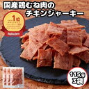 オリオンビアジャーキー 50g×5袋 【レターパック送料無料】