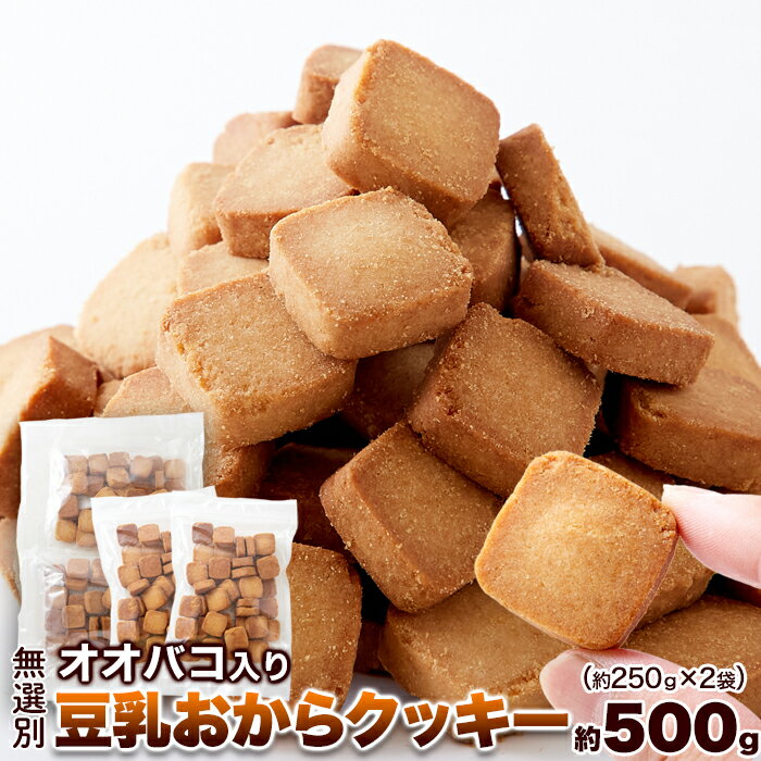 【店内全品最大19％OFF★19日23:59迄】【無選別】オオバコ入り豆乳おからクッキー500g