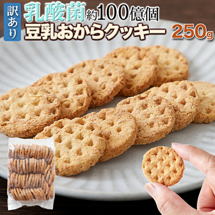 ■品名：おからクッキー(乳酸菌入り) ■名称：焼菓子 ■原材料名：おから(国内製造)、小麦粉(国内製造)、グラニュー糖、マーガリン(乳成分を含む)、豆乳、乳酸菌末(殺菌乳酸菌体、デキストリン)/乳化剤、香料、酸化防止剤(ビタミンE)、安定剤(ペクチン)、アナトー色素 ■内容量：250g ■賞味期限：製造日より120日 ■保存方法：直射日光を避けお早めにお召し上がり下さい。 ■販売者：株式会社天然生活 〒141-0032　東京都品川区大崎3-6-4　トキワビル7F 【栄養成分表示100gあたり】 熱量：443kcal たんぱく質：11.4g 脂質：16.1g 炭水化物：69.3g　 食塩相当量：0.1g （※推定値）■ 大注目の大豆(豆乳＆おから)と乳酸菌を配合。 1枚あたり乳酸菌100億個※目安!! ※乳酸菌末を製造時に1枚(4g)100億個相当となるよう配合。 話題の乳酸菌と人気の大豆(豆乳＆おから)が一緒に摂れるクッキー!! ■ 乳酸菌を毎日、手軽に美味しい豆乳おからクッキーで!! 厳選したおからと小麦粉を使用 カリッと堅め！ 噛むたびに美味しい素朴な味わい!! 乳酸菌EC-12株配合 訳あり　乳酸菌約100億個※ 豆乳おからクッキー ※乳酸菌末を製造時に1枚(4g)100億個相当となるよう配合。 ■ たっぷり!! 簡易包装250g 簡易包装でのお届けとなる為、配送途中の衝撃等により、欠けや割れなどの商品が多く含まれる場合もございますが、予めご了承の上、お買い求めいただきますようお願い致します。 ■ クッキー1枚に驚きの乳酸菌数!! クッキーにこんなにたくさんの乳酸菌が!? 500gに約1.25兆個 4g(およそ1枚)あたりに約100億個※ ※乳酸菌末を製造時に1枚(4g)100億個相当となるよう配合。 乳酸菌配合!! 　 ■ メーカー検査でも認められました!! 4g(およそ1枚)あたり約100億※の乳酸菌配合に成功！ (乳酸菌EC-12株)※乳酸菌末を製造時に1枚(4g)100億個相当となるよう配合。 ※予めご了承下さい※ 必ずしも全てのクッキー1枚あたりに乳酸菌100億個入っていることを保証するものではございません。 また、手作りで作っている為、クッキー1枚あたりの重量は前後します。 ■ 続けていただく為のポイントが揃っています。 美味しくなければ続けられない。 美味しさ 手作りにこだわって丁寧に。 お客様に美味しいものを食べていただきたいという思いから、手作業にて丁寧に1枚1枚焼き上げています。 硬めの食感と素朴な美味しさがクセになる味わいです。 素朴な味わいなので、お好みで野菜や果物、メープルシロップなどと一緒にお召し上がりいただいても美味しくお召上がりいただけます。 おから　小麦粉　豆乳 原材料にもこだわりが。 厳選素材 おからをしっかりと使用。 厳選した小麦粉とおから、豆乳を使用しています。 特におからの配合にはこだわっていて、原材料で1番多くなるようにしています。 製造も国内にて行っております。 余分な間食を控えたい。 満腹食材 水分と一緒に。満腹感を実感。 おからは大豆から出来る注目の食材。 大豆のしぼりかすがおからで、しぼり汁が豆乳になります。 おからは水を吸うとぐんぐん膨らむ性質があるので、お茶などの水分と一緒にお召し上がりいただく事をおすすめします。 個人差はありますが、少量の水でぐぐーんと膨張して満腹感や満足感が期待できます。 ■ 乳酸菌EC-12株配合 訳あり乳酸菌約100億個※ 豆乳おからクッキー 厳選したおからと小麦粉を使用。 1枚あたり乳酸菌100億個※目安!! 簡易包装250g ※乳酸菌末を製造時に1枚(4g)100億個相当となるよう配合。