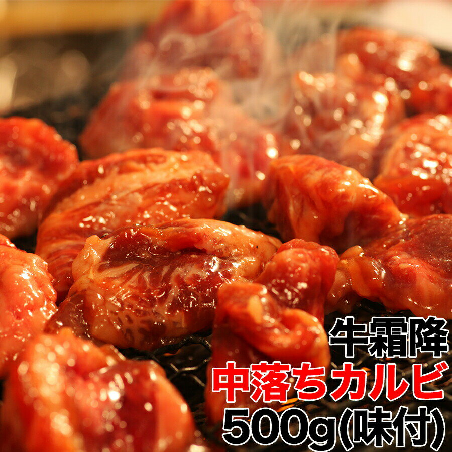 ڥե!!6%OFF&16OFF1723:59̵ Υ̣ĤӤɤä500g̣դˡϾ ̣ ߤ     ̣