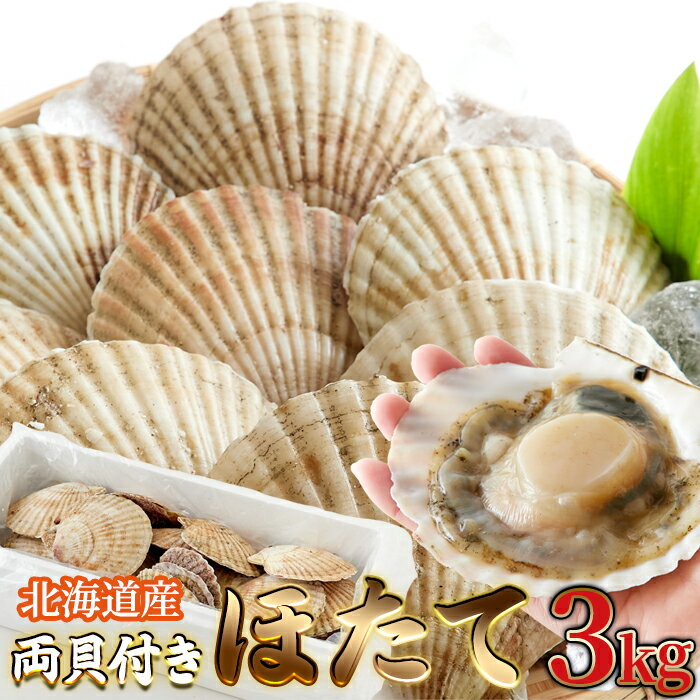 ڥե饤󥰥!!Źʺ13OFF2219:59ۥե ̳ƻξդۤơ3kg б ۤ Ω դ...