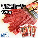 【店内全品10％OFF＆P4倍★20日17:59迄】おつまみ ビーフジャーキ 群馬県産 牛たんジャーキー 120g (40g×3袋) 酒の肴 おやつ ジャーキー 酒のつまみ 珍味 肉加工品 燻製 群馬 ご当地 牛タン 宮内ハム 低カロリー 低脂質