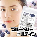 【まもなく終了!!無条件で使える全品18%OFF★29日09:59迄】メガ盛り★ブルーベリー&ルテインサプリ約4ヵ月分 サプリ ブルーベリー ルテイン ビタミン...