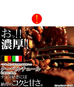 【訳あり】高級チョコブラウニー6個 個包装 濃厚 業務用 チョコレート チョコブラウニー ショコラ 送料無料 スイーツ 焼き菓子 ベルギー産 イタリア産 北海道産 小麦粉 アウトレット 取り寄せ