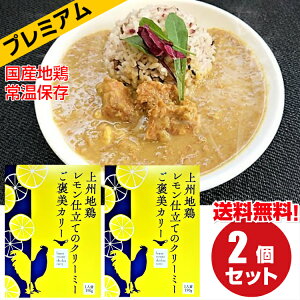 【サマーセール ラスト2時間全品20％OFF 8/26 00:00～1:59】送料無料 上州地鶏 レモン仕立てのクリーミーご褒美カレー 2箱 2人前 お試し セット レトルトカレー 高級 国産 常温保存 チキンカレー キーマ レトルト カレー 地鶏 群馬 ご当地カレー 惣菜 お試し