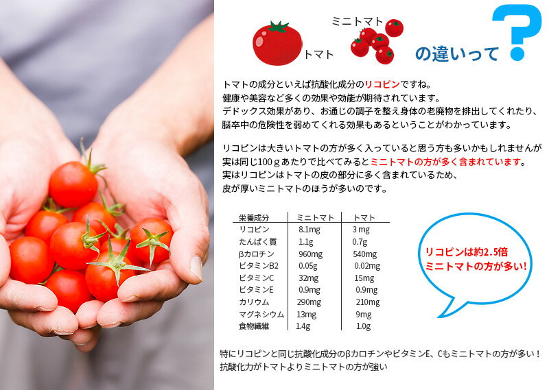トマトジュース 720ml 2本 北海道 南富良野町 鳥羽農園 ミニトマト 箱入り 手しぼり 120個分のトマトを凝縮 濃厚 味わい深い リコピン ビタミン 抗酸化力 とまと プチトマト 送料無料 なまらモグぱっく 3