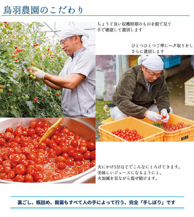 トマトジュース 720ml 2本 北海道 南富良野町 鳥羽農園 ミニトマト 箱入り 手しぼり 120個分のトマトを凝縮 濃厚 味わい深い リコピン ビタミン 抗酸化力 とまと プチトマト 送料無料 なまらモグぱっく 2
