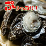 դ  4kg 32γ ͤ줿 ̳ƻ ޸ ǻ    ڥե饤 ʤˤʤ ̣  ̵ͯ ľ  ̵ ⤰Ѥä