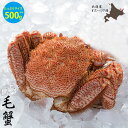 毛ガニ 8尾サイズ 平均500g (472〜534g) 浜ゆで 冷凍でのお届け 北海道 オホーツク海 ...