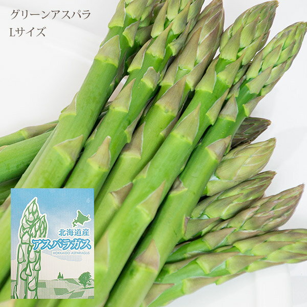 Other - グリーンアスパラ Lサイズ 1kg 北海道 富良野 味が濃い 甘い 柔らかい 美味しい 美味 アスパラ 朝採れ 産地直送 アスパラ 生産者限定 生産数限定 クール便 送料無料 なまらモグぱっく