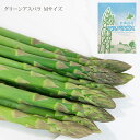 グリーンアスパラ Mサイズ 1kg 北海道 富良野 味が濃い 甘い 柔らかい 美味しい 美味 アスパラ 朝採れ 産地直送 アスパラ 生産者限定 生産数限定 クール便 送料無料 なまらモグぱっく