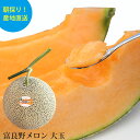 富良野メロン 大玉 1.6kg~2.0kg 赤肉 メロン めろん 甘い 北海道産 北海道 富良野 贈答用 秀品 ギフト お中元 内祝い お返し フルーツ 果物 お取り寄せ 産地直送 送料無料 なまらモグぱっく