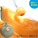 富良野メロン 超特大玉 1玉入 2.0kg~2.3kg 赤肉 メロン めろん 甘い 北海道産 北海道 富良野 贈答用 秀品 ギフト お中元 内祝い お返し フルーツ 果物 お取り寄せ 産地直送 送料無料 なまらモグぱっく